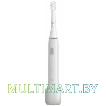 Электрическая зубная щетка Infly Sonic Electric Toothbrush P60 (серый)